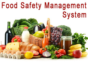 Industria alimentara certificare ISO