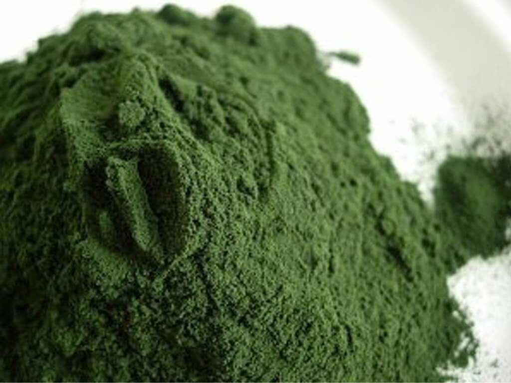 alge verzi spirulina
