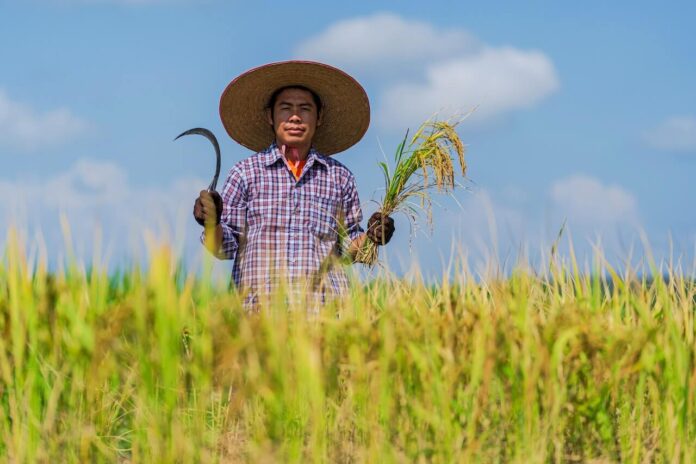 Creșterea performanței în agricultură: 3 strategii cheie pentru succesul afacerii tale