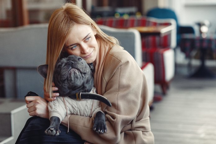 Care sunt cele mai frecvente greșeli când alegi un pet sitter în București?