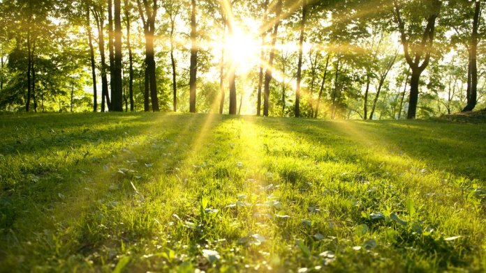 ANM a revizuit avertizarea pentru vreme severă. Regiunile influențate de zăpadă până joi dimineață. HARTĂ