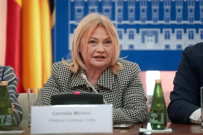 Culminarea digitalizării: cazier judiciar obținut prin aplicația MAI, refuzat în Timișoara la examenul auto