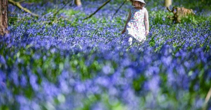 Prognoza meteorologică pentru următoarele 4 săptămâni: temperaturi mai ridicate decât cele obișnuite în previziuni