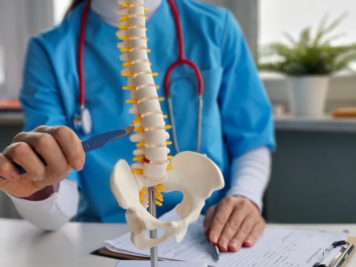 Neurosurgery,And,Operations,On,The,Spinal,Cord,And,Spine.,Model
