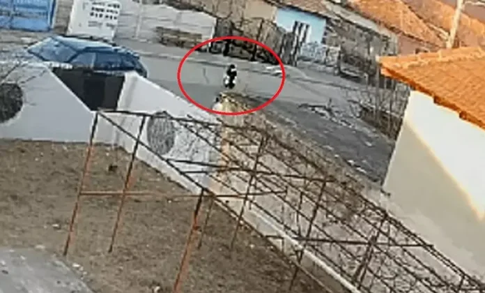 Doi copii omorâţi de câini: reacţii opuse. Pierderi de 2.400.000 de euro în Bucureşti, nimic în Craiova. Doi copii omorâţi de câini: reacţii opuse. Pierderi de 2.400.000 de euro în Bucureşti, nimic în Craiova.
