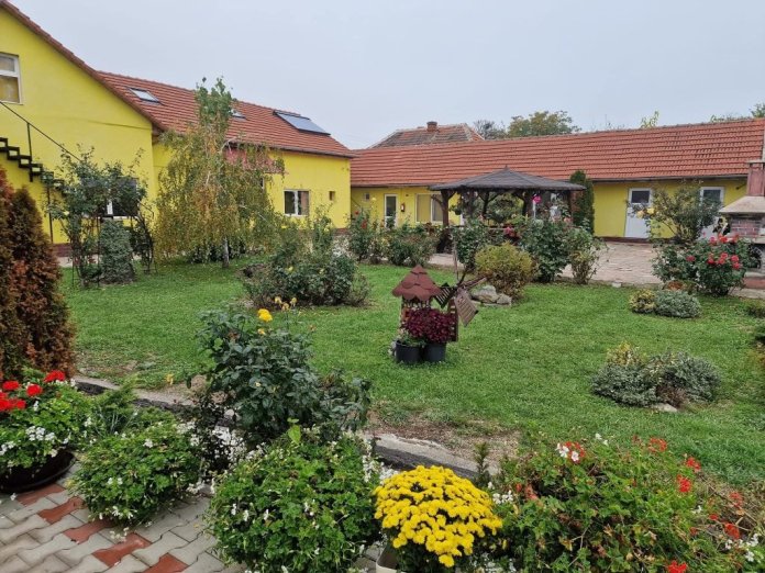 Mitul „omului milostiv” în opoziție cu adevărul azilelor din Bihor: Viorel Pașca, în fața Curții de Apel București